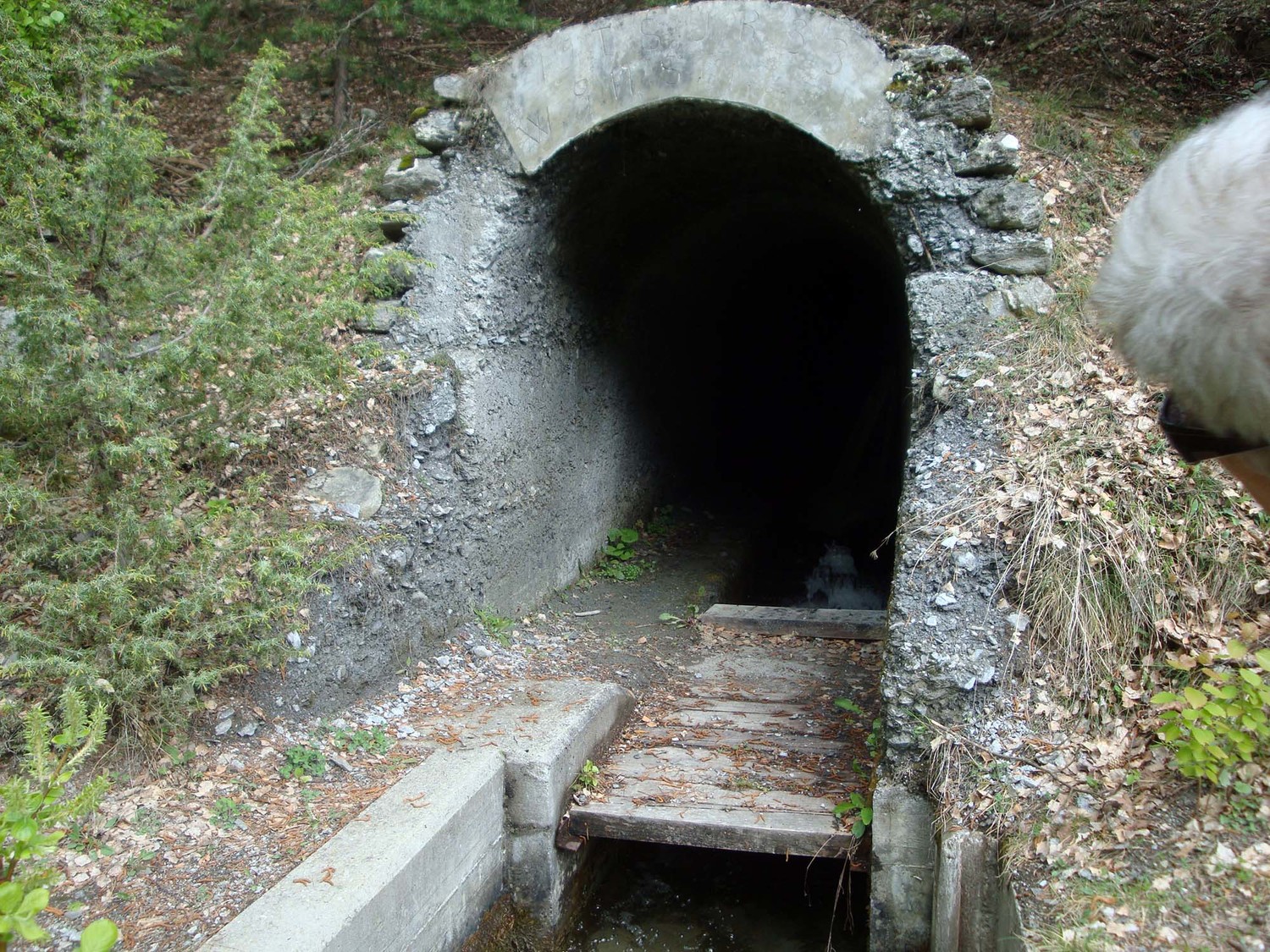Sortie Tunnel