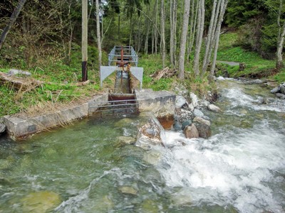 Prise pour 3 bisses: Grône; Morestel; Neuf