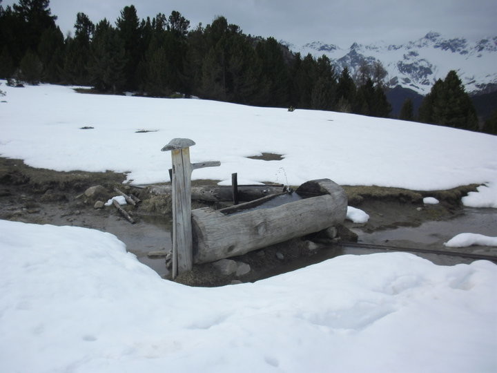 AMBIENTE NEL PARCO NAZIONALE