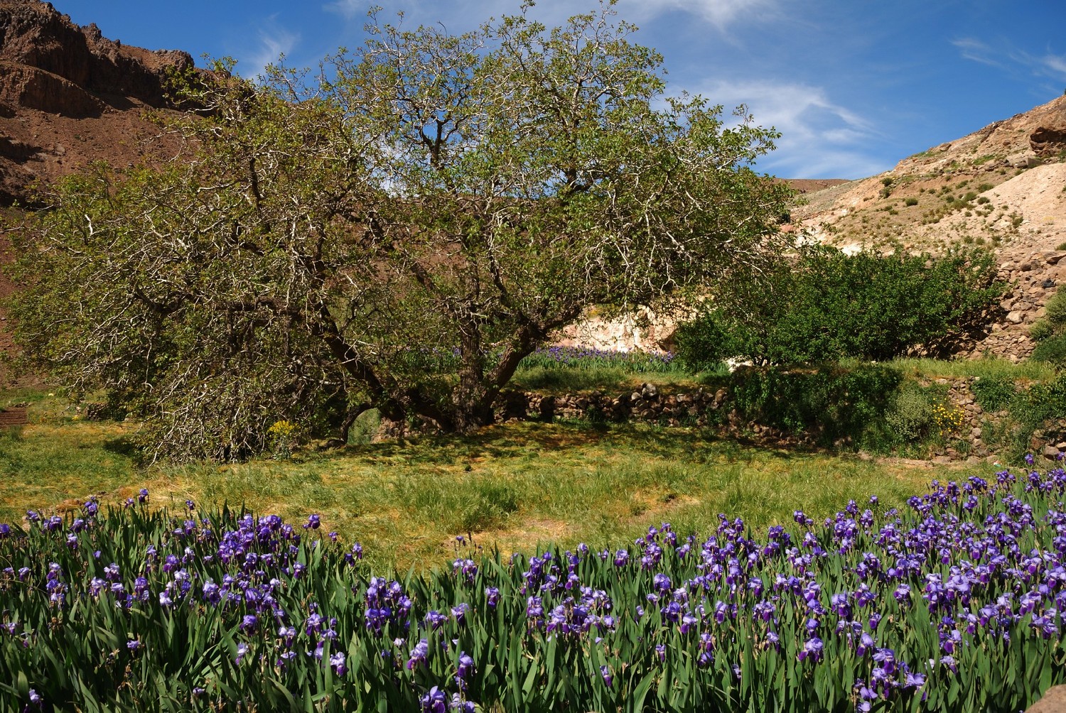 Village d'Ait Aghmour, Djebel Sirouah