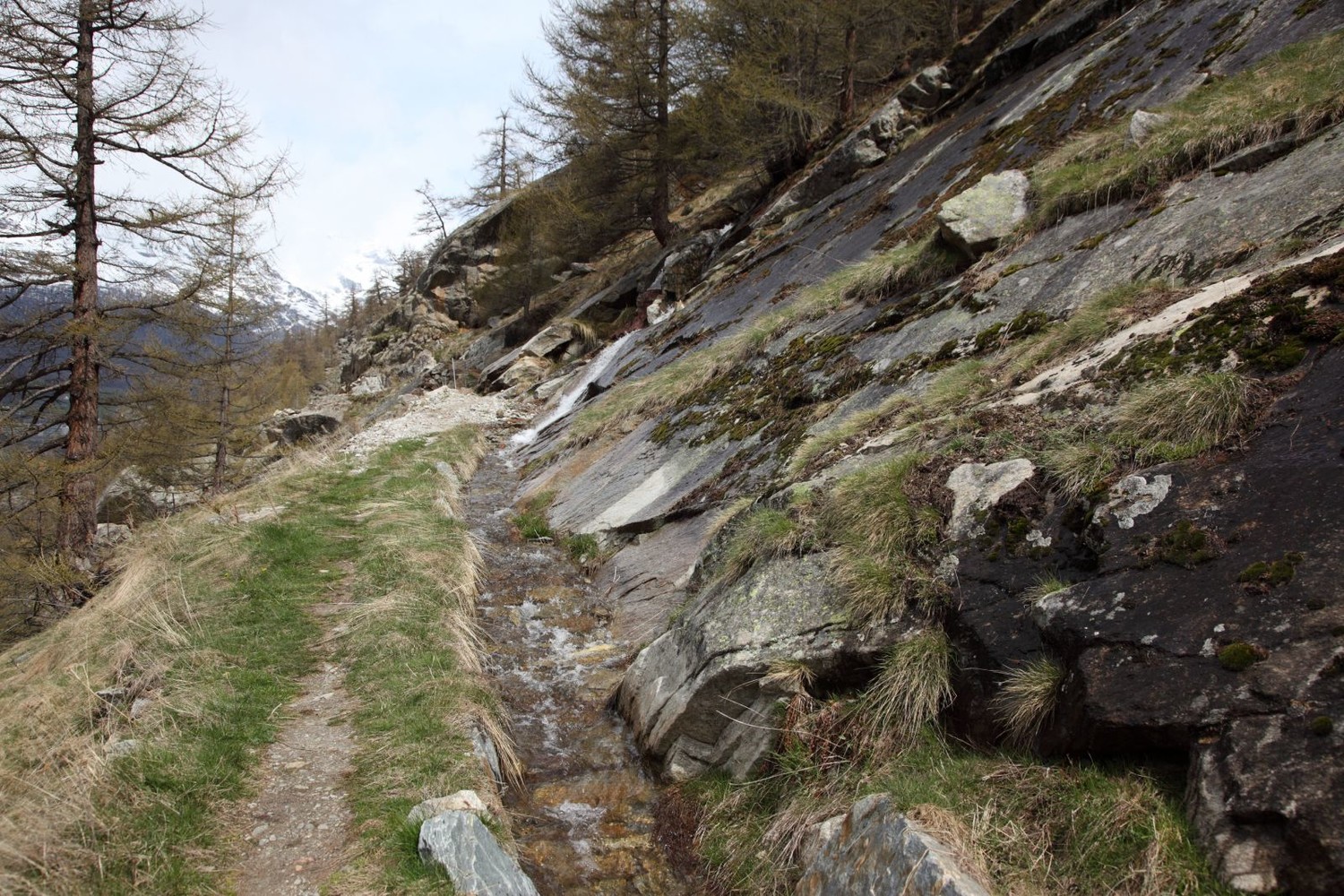 Bisse de Moosgufer
