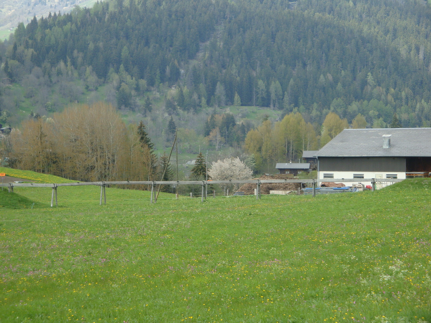 Wuhr: partie de bisse surélevé
