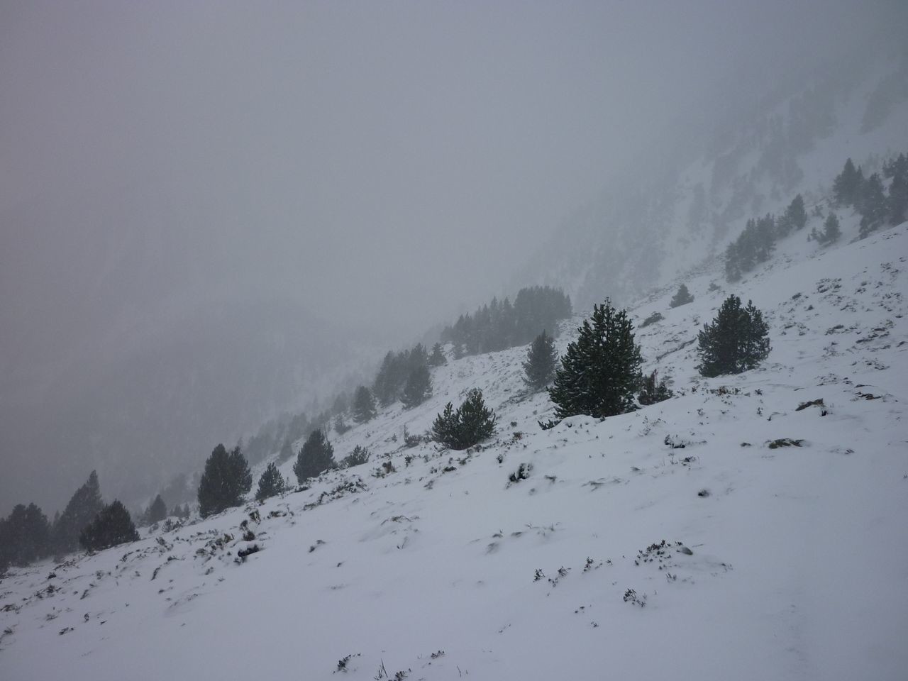 Départ neigeux.
