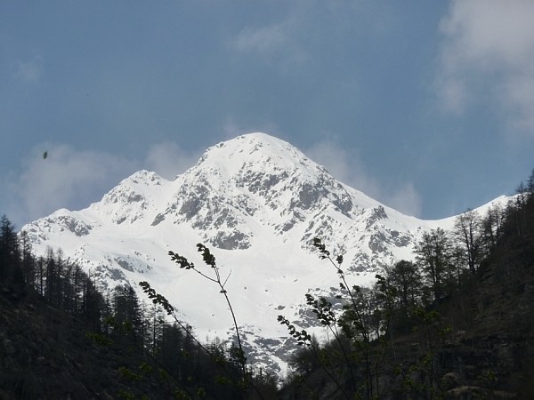 Il Pizzo Campo Tencia dalla Val di Prato.