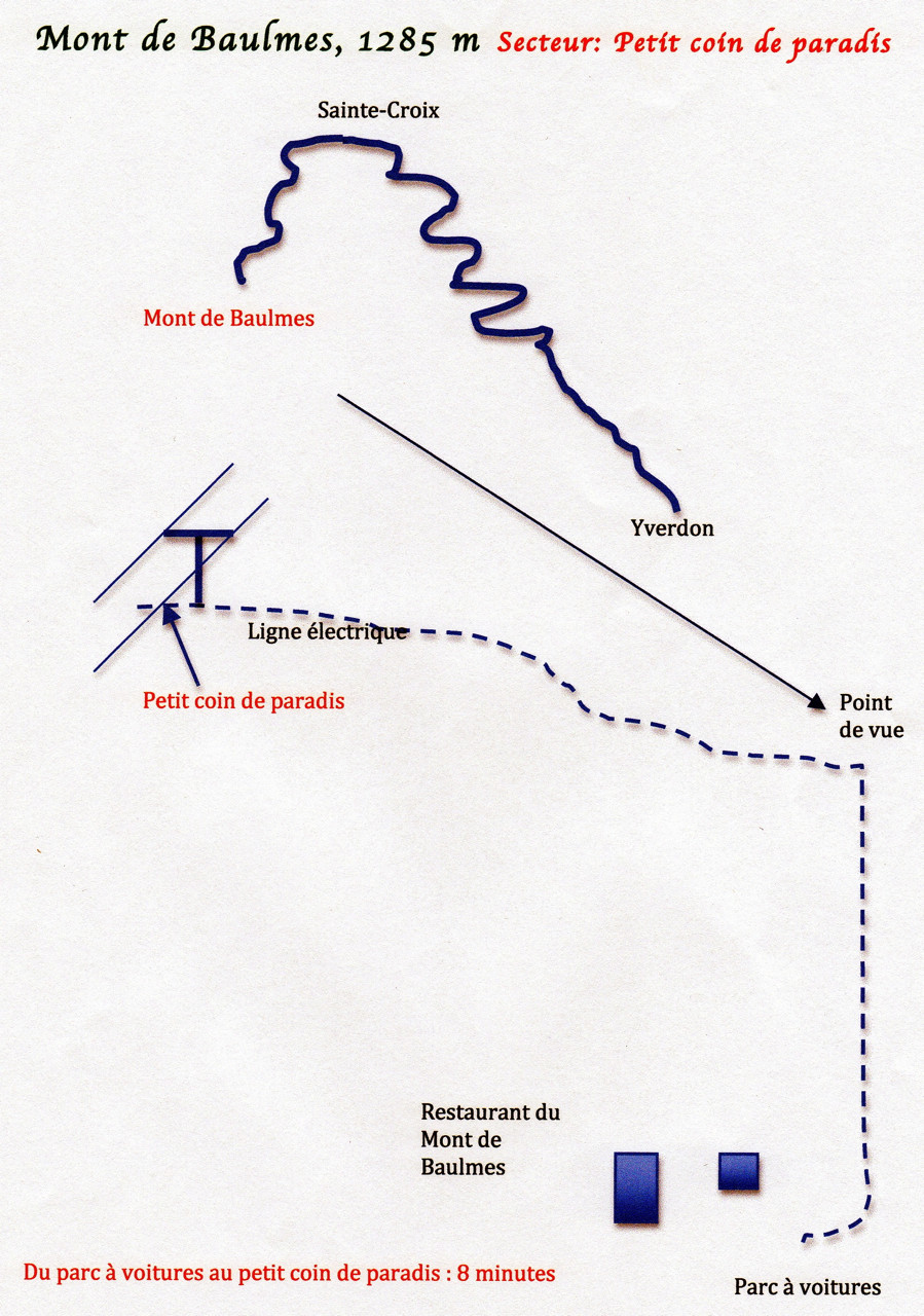 Plan d'accès au Petit coin de paradis