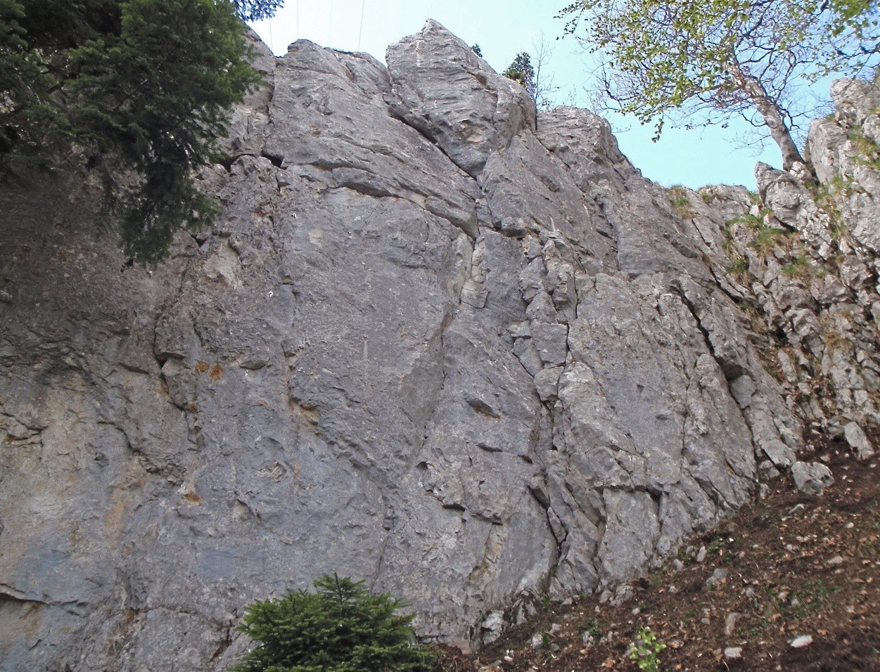 Le joli calcaire gris-bleu du Petit coin de paradis