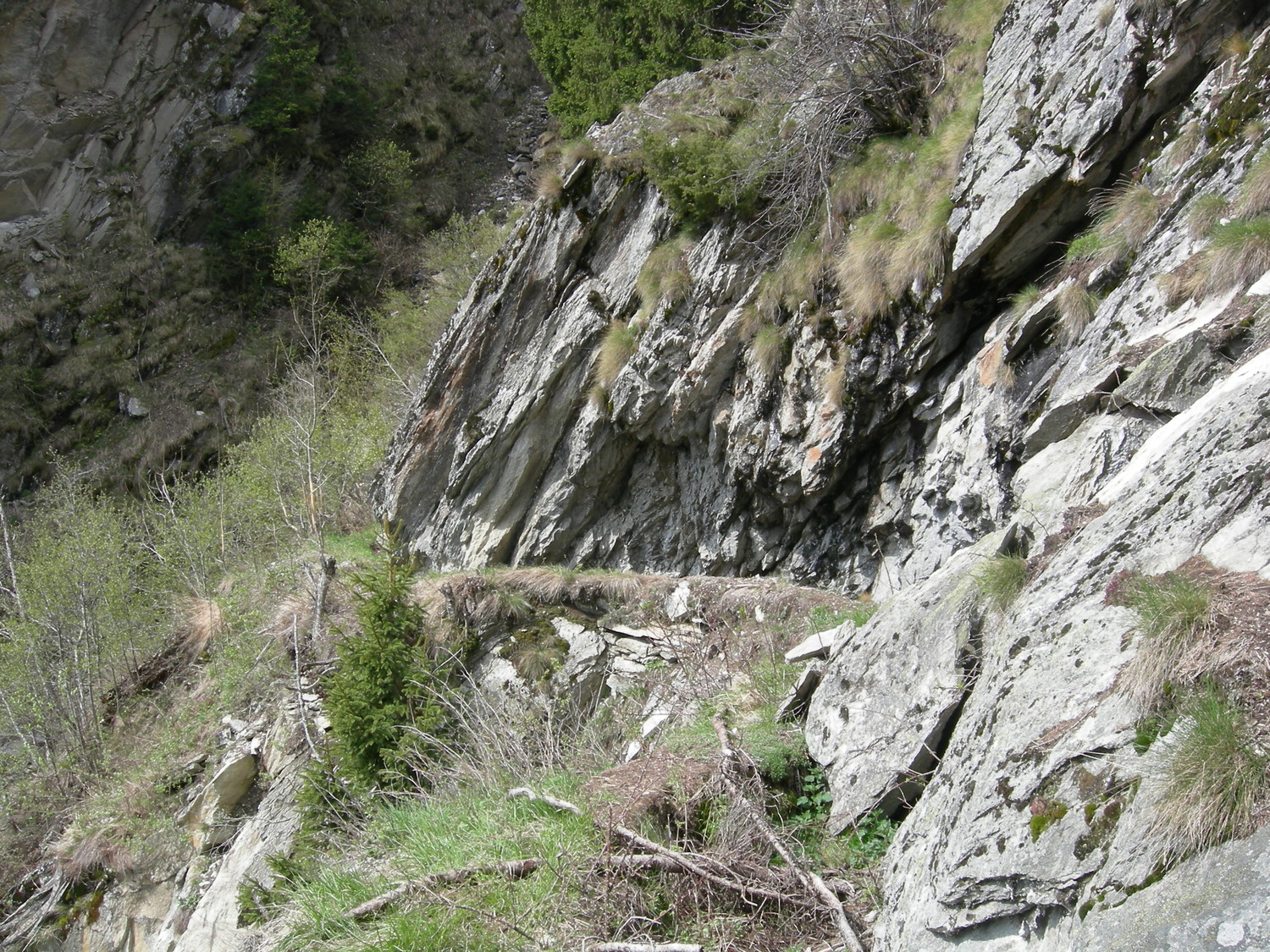 joli parcours