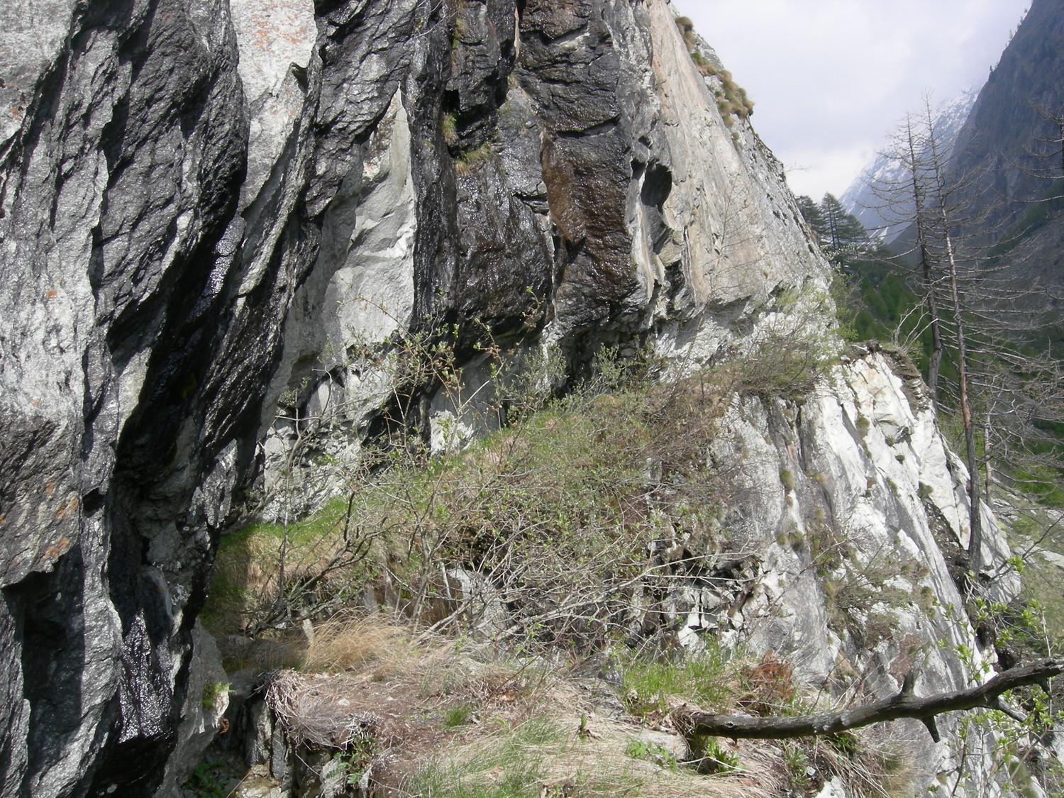 dernière falaise