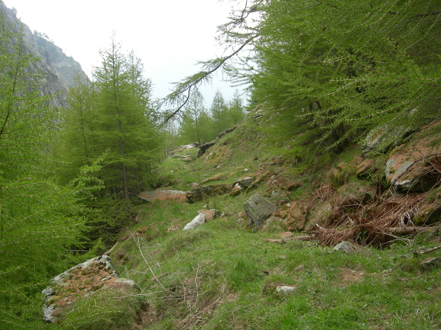 suite du Steiwasser
