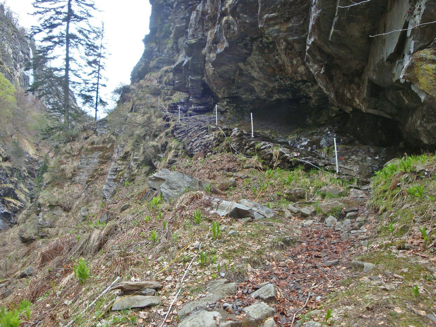 Accès à Soveltra