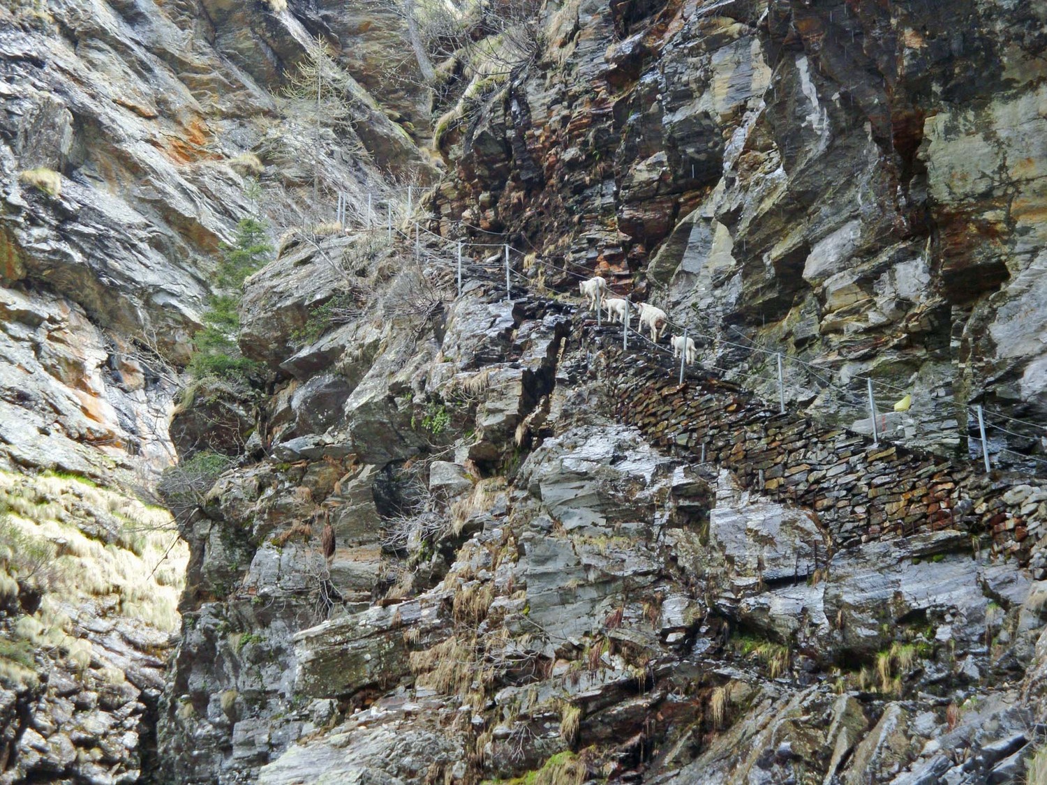 Accès à Soveltra