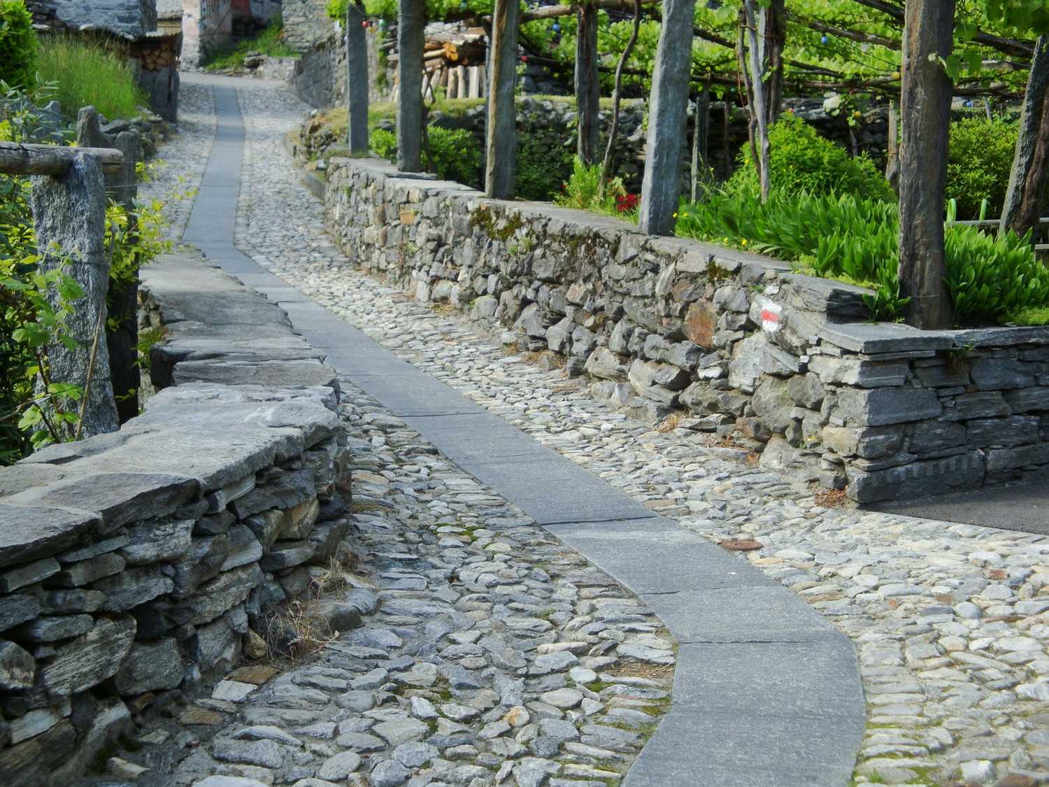 Giumaglio : Ticino
