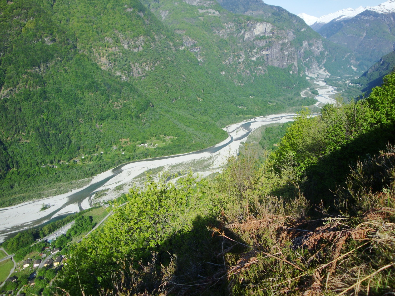 Vallemaggia