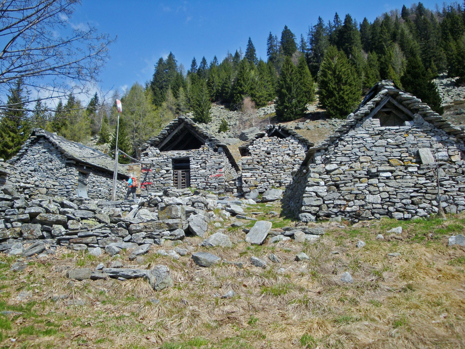 Cortone