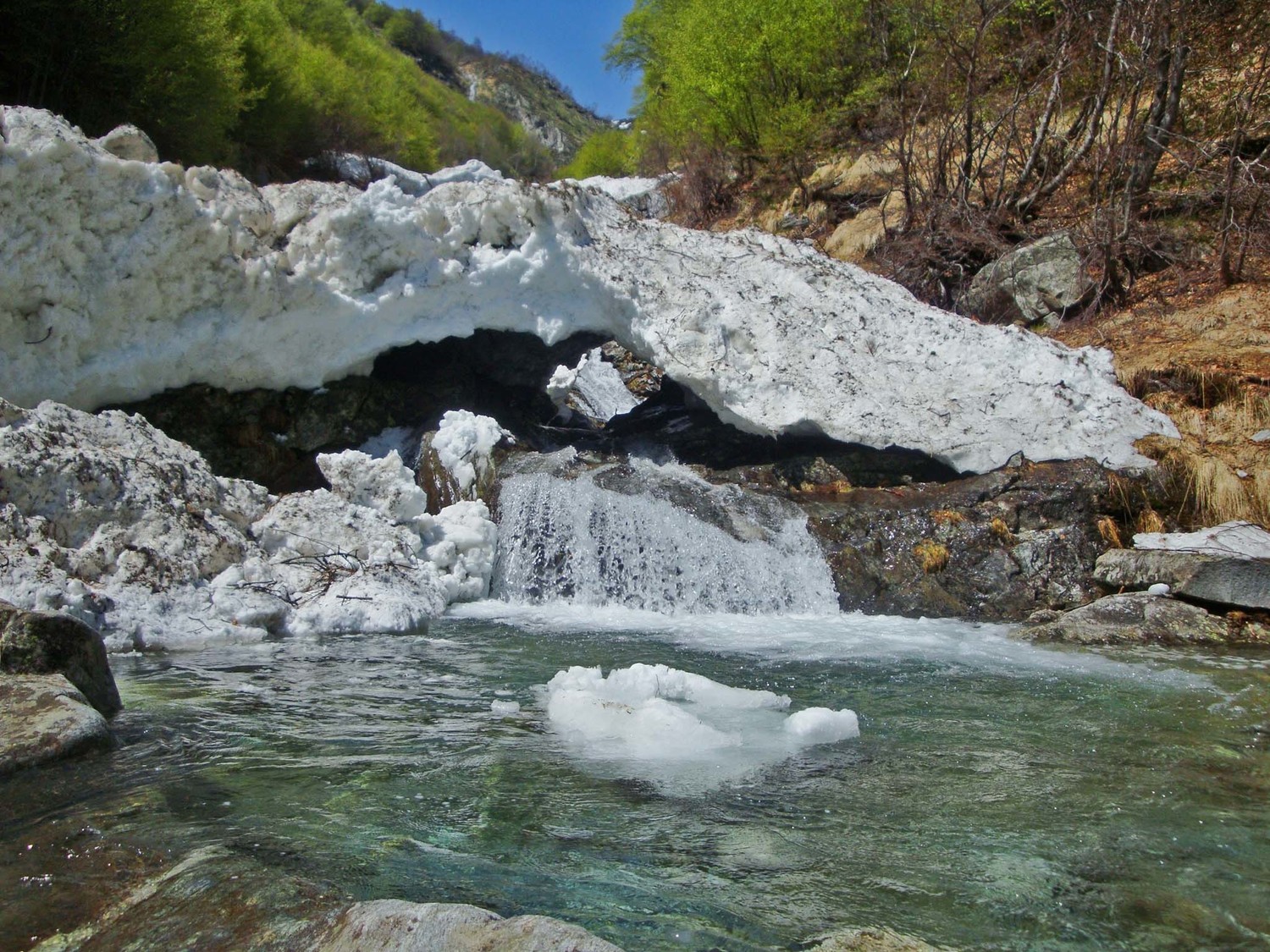 Torrent volumineux