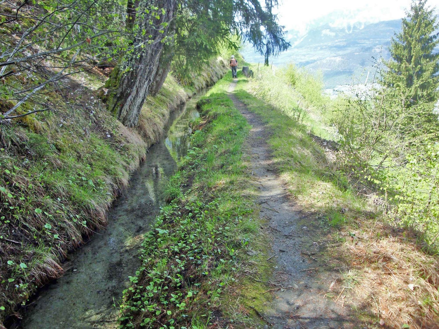 Bisse Neuf