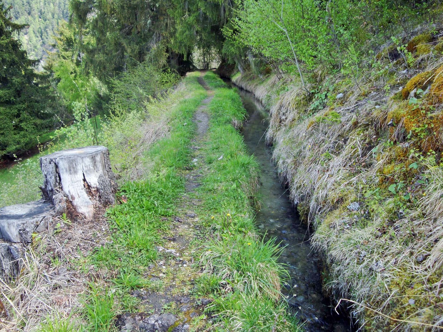 Bisse Neuf