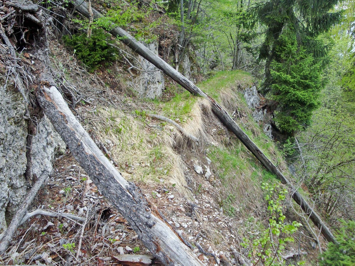 Bisse Neuf: traces
