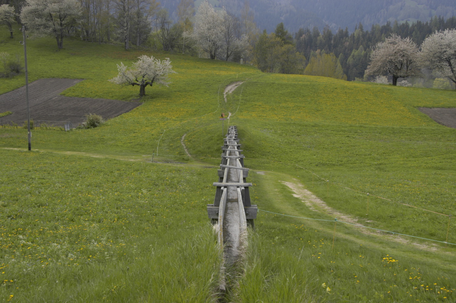 Bisse de Wuhr surélevé !