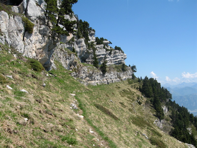 Le départ du sangle