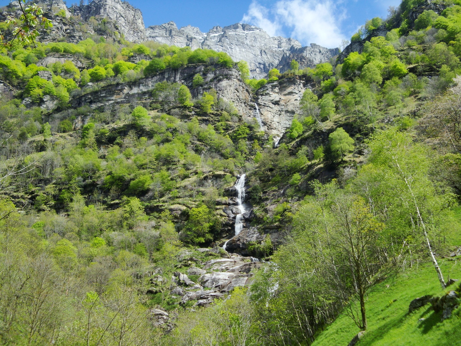 Cascade Osola