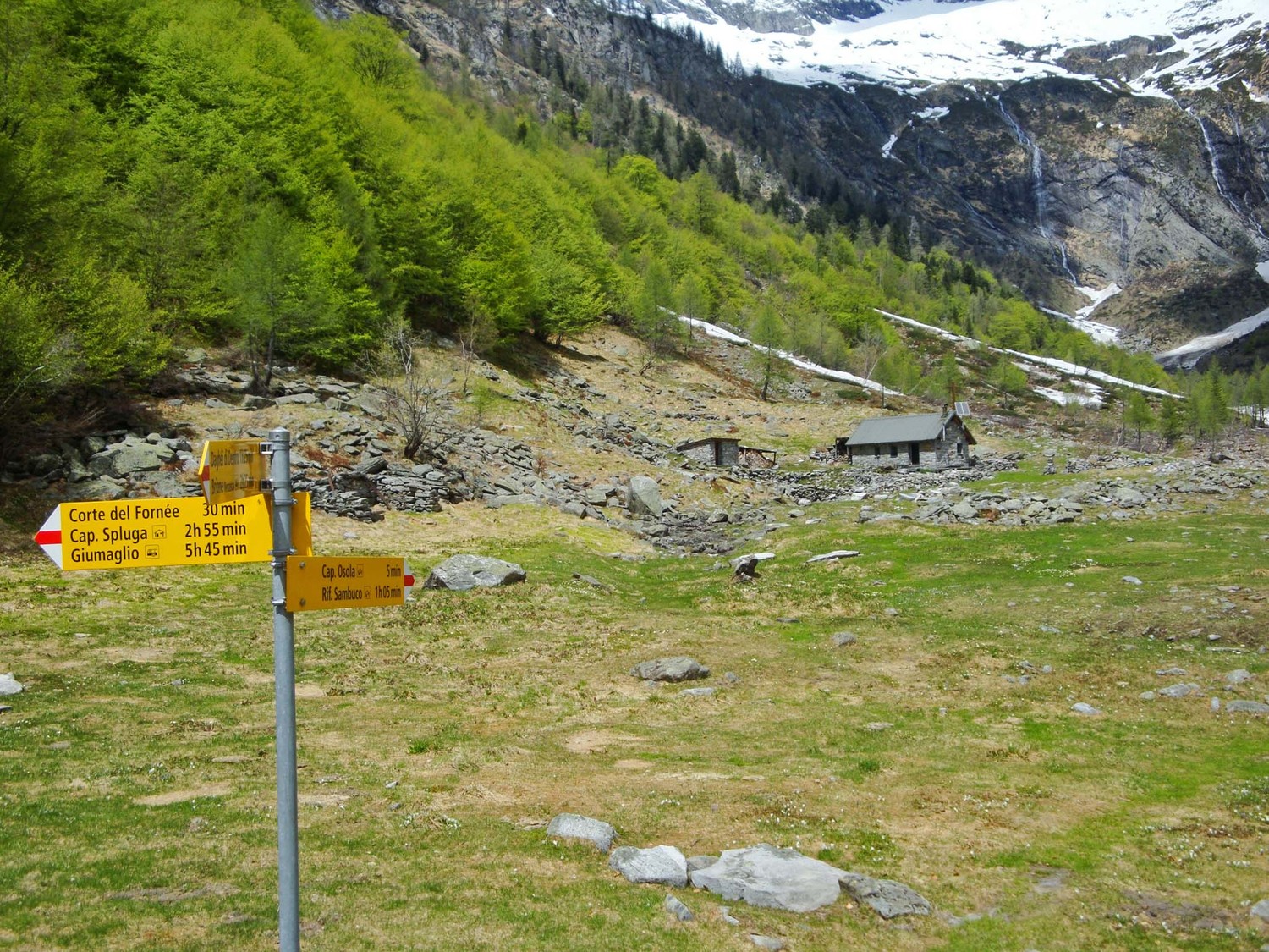 Cap.Osola