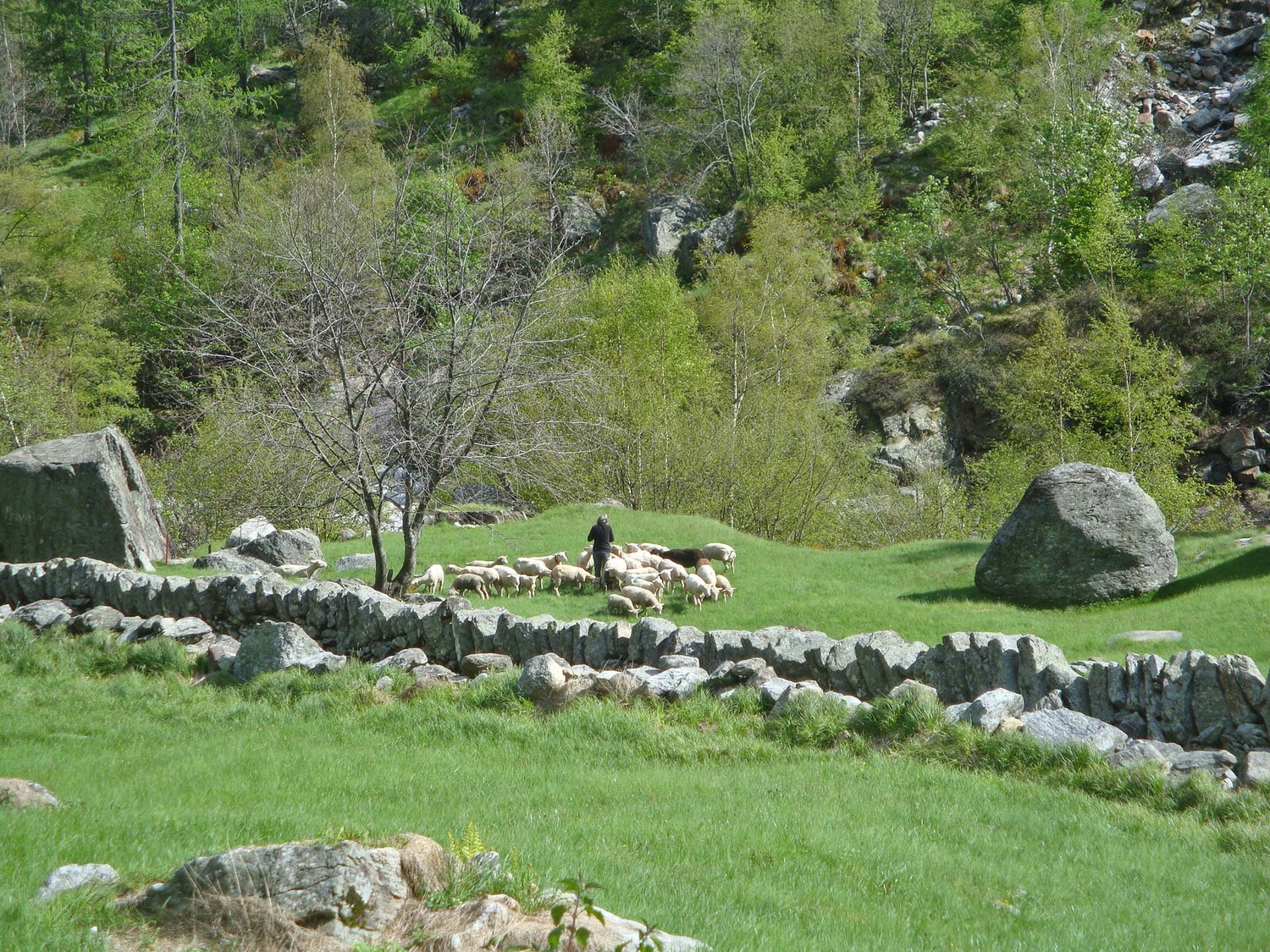 Symphonie Pastorale