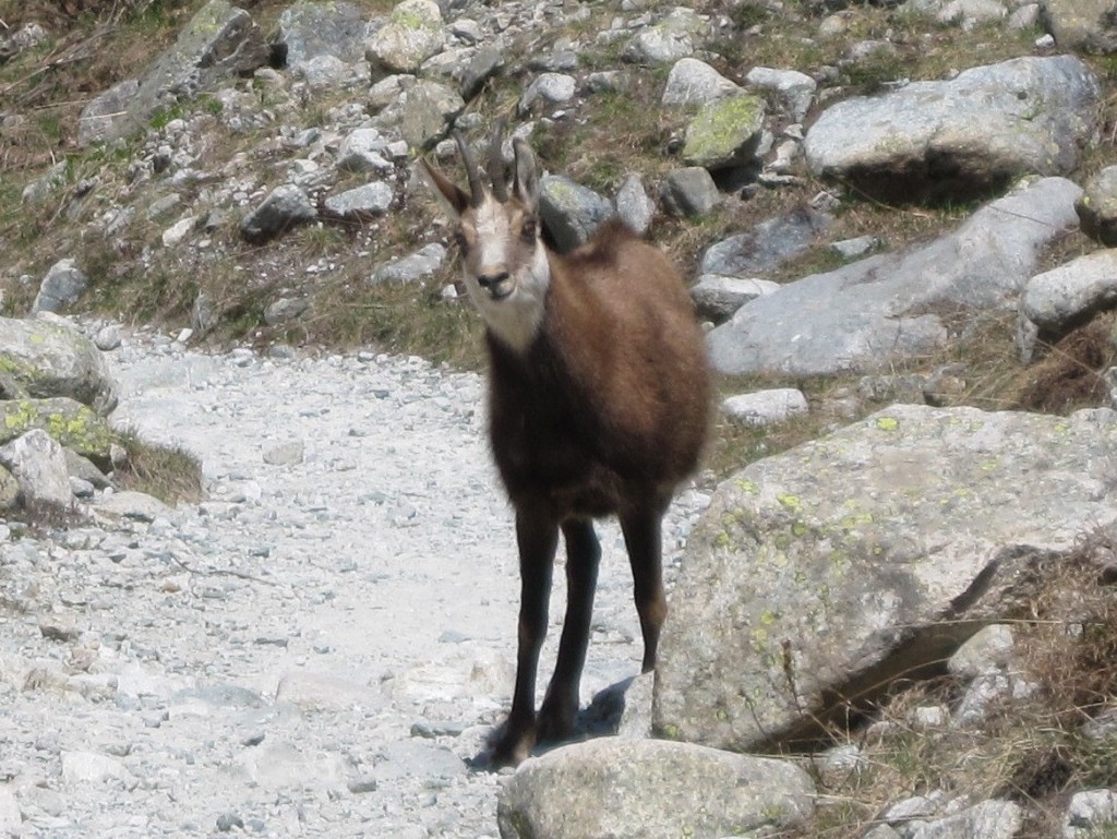 Rencontre