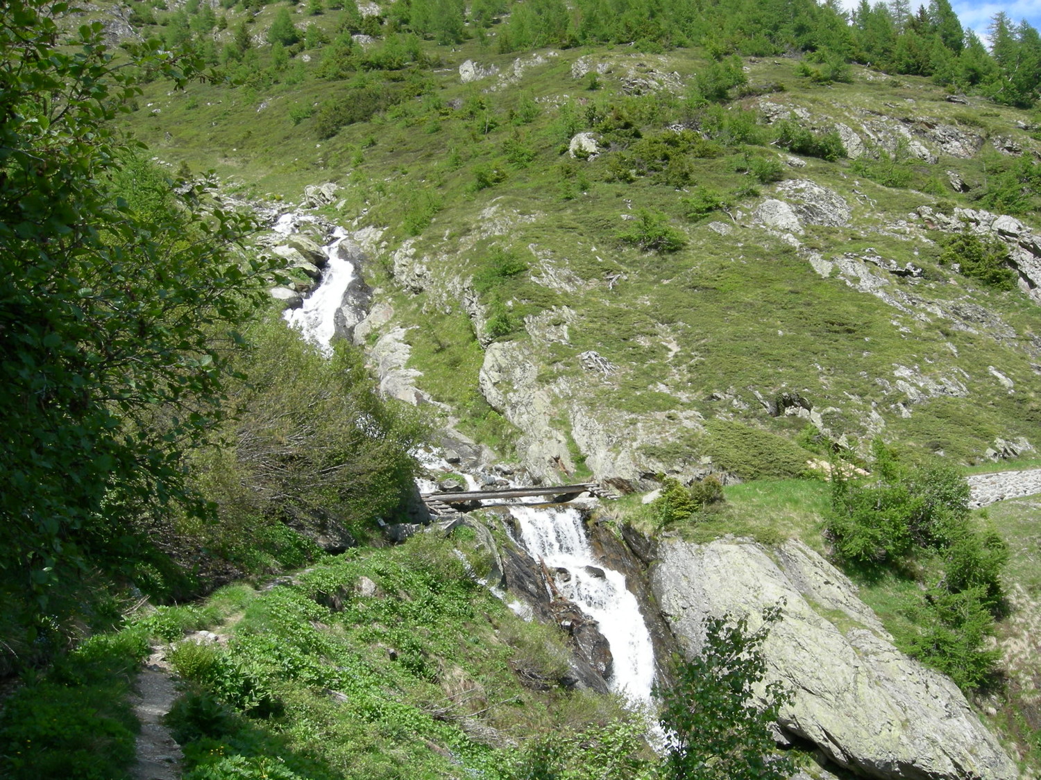 Pont