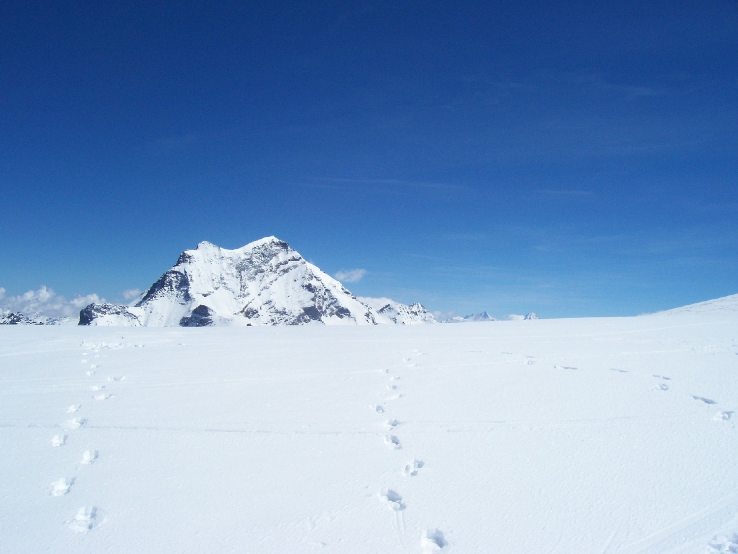 panoramix