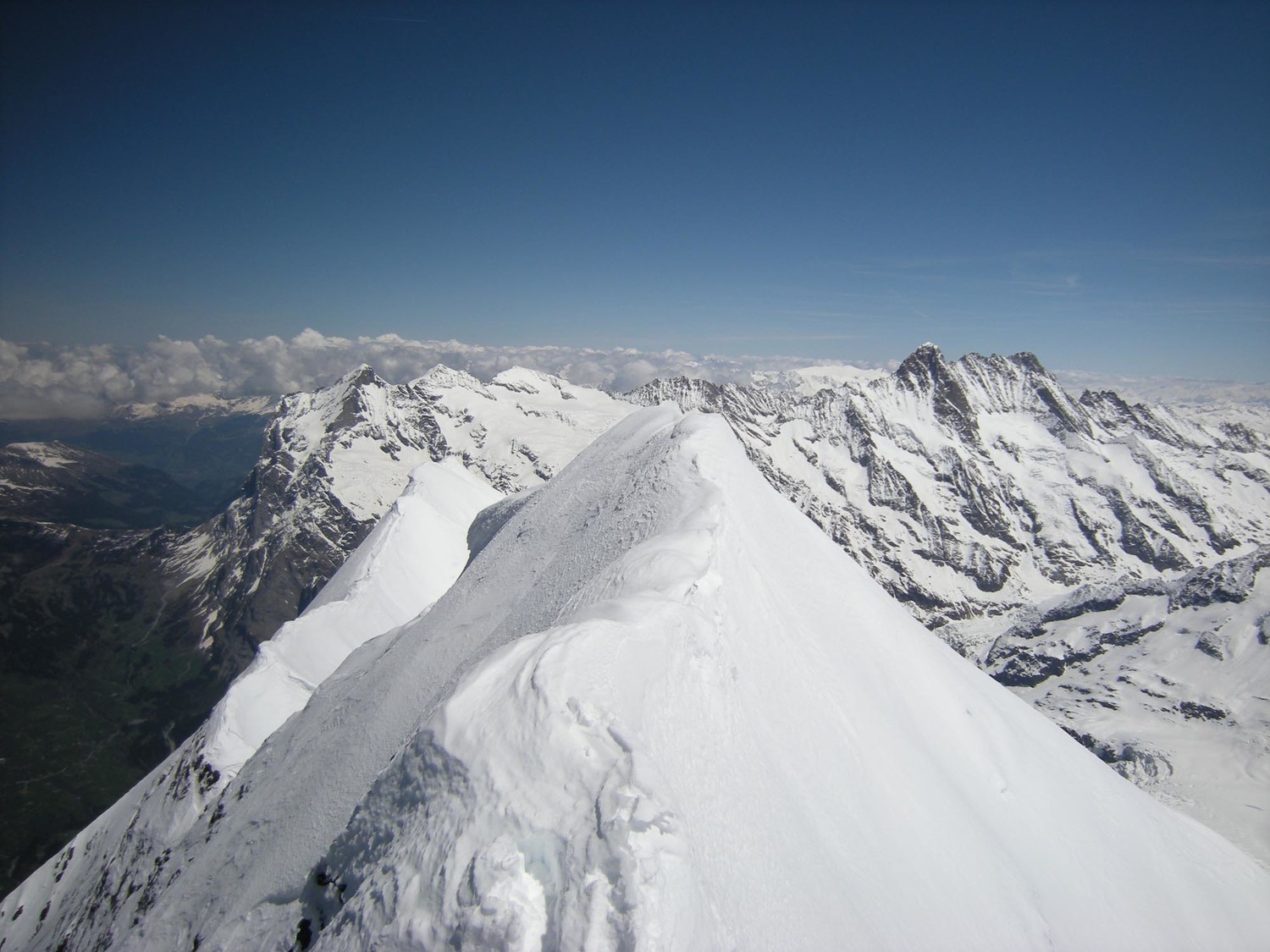Eiger. Sommet, Wetterhorn,Schreckhorn, Lauteraarhorn.