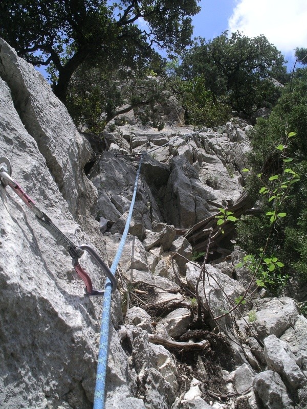 Dans l'Herbetto