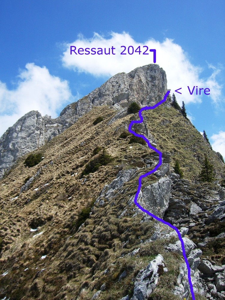 Arête W / Attaque