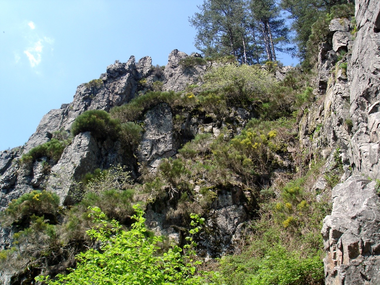 Rochers 2