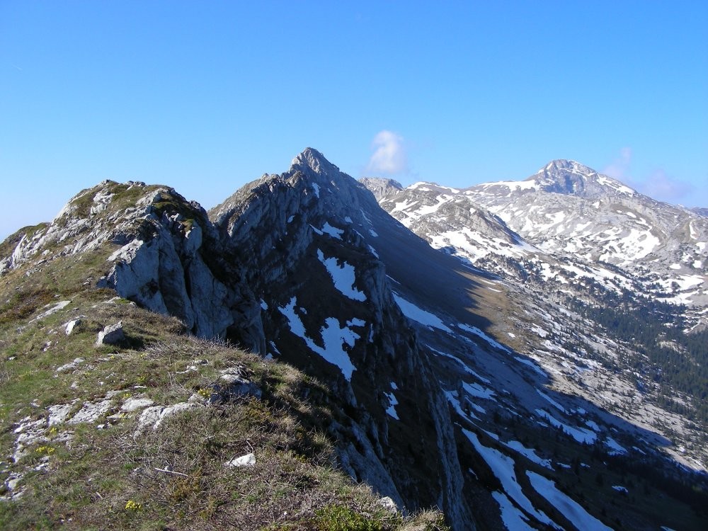 L'arête du Ranc des Agnelons (vue vers le S)