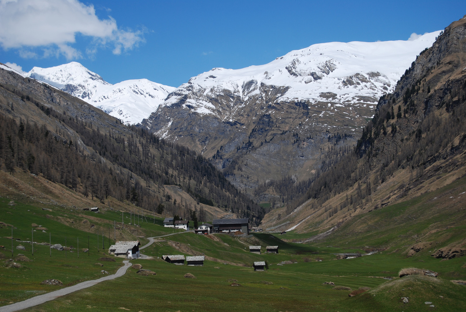 Uscendo dalla Val Madris le case di Stettli 1800 m, a sinistra il Piz Grisch 3060 m.