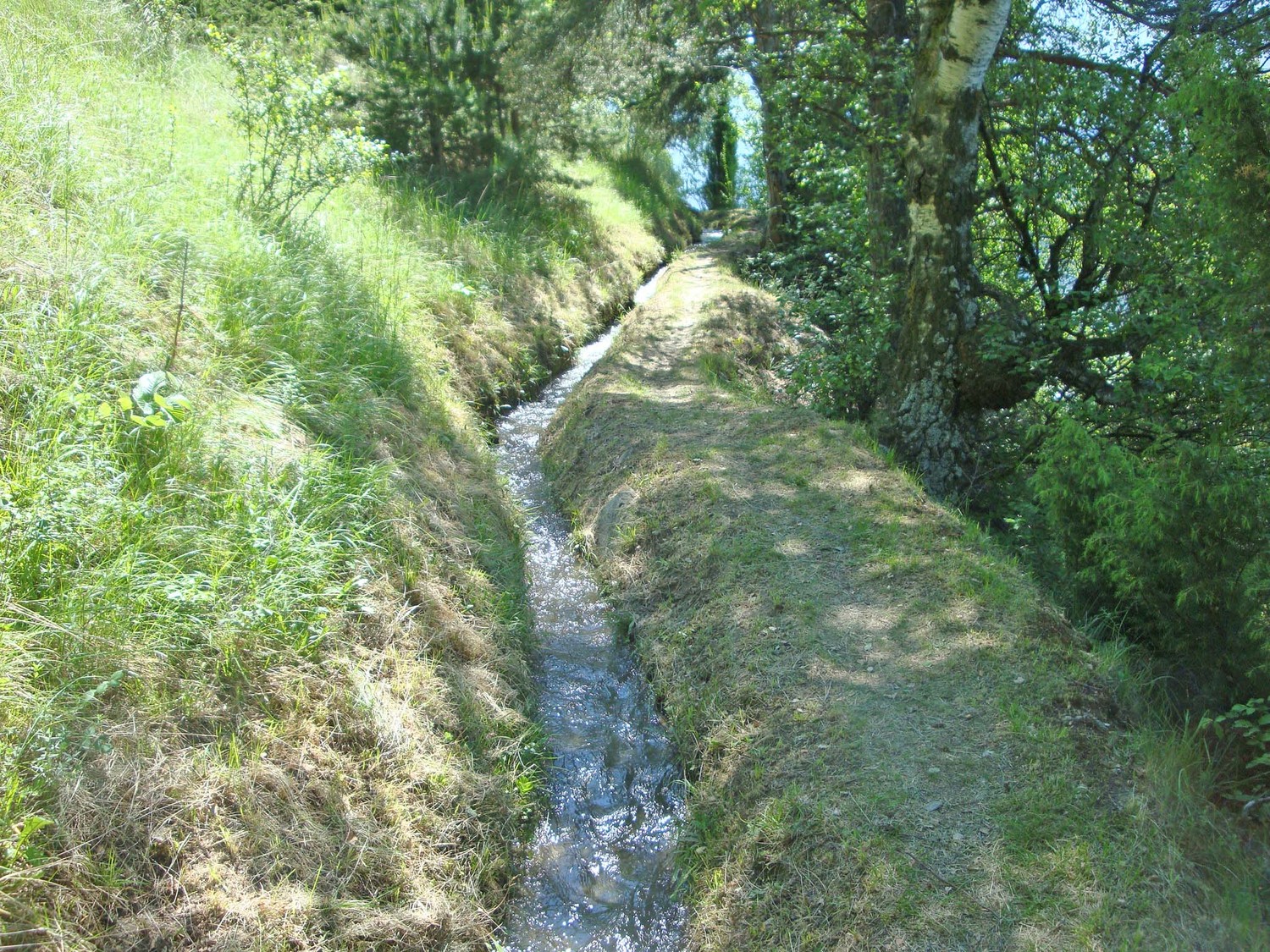 Luogju
