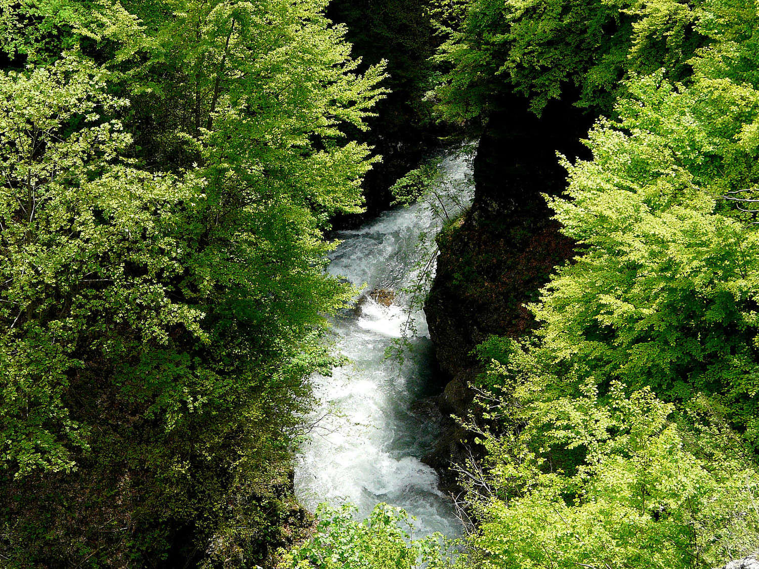 et toujours de l'eau.