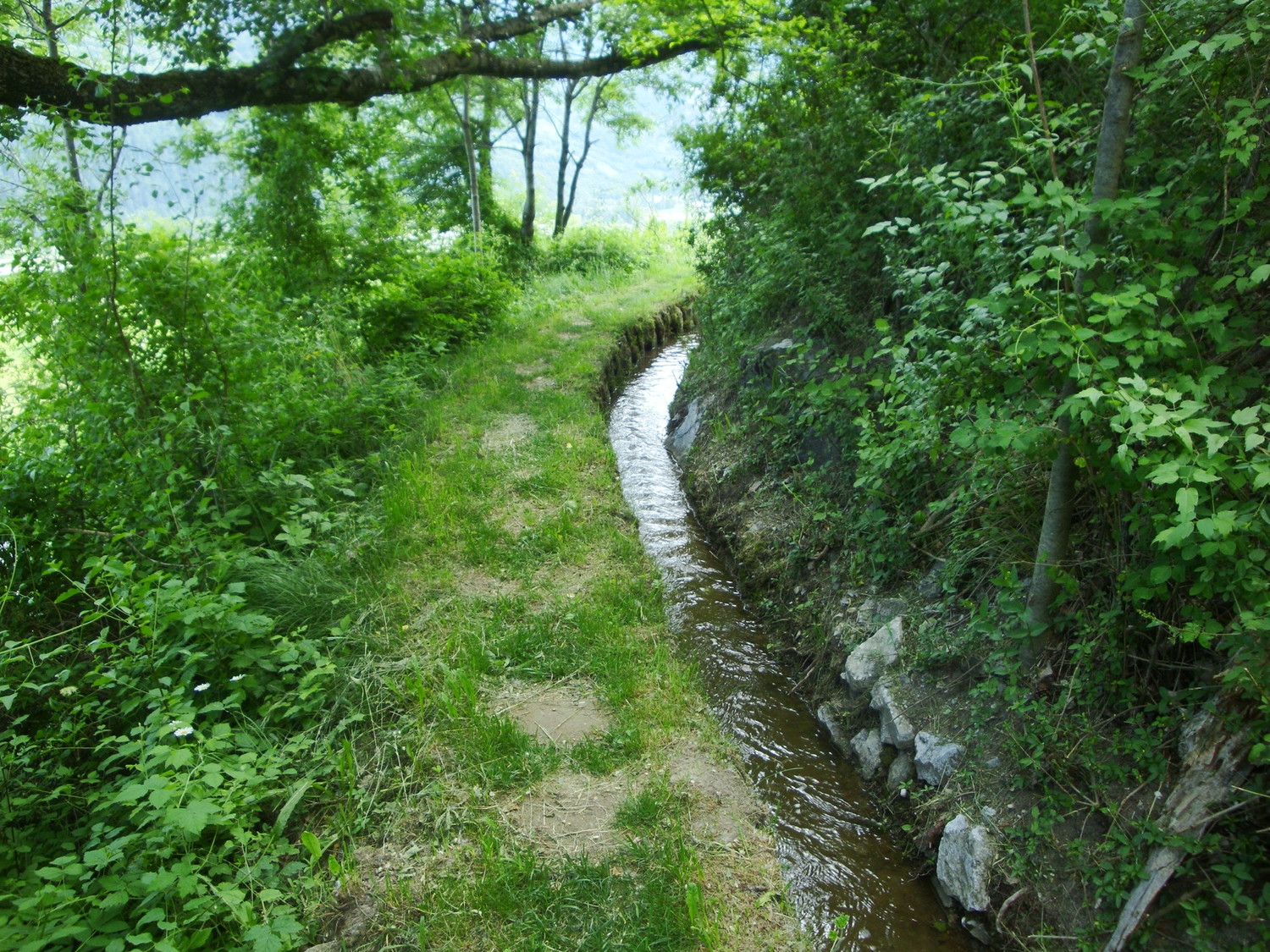 Obere Wasser Gampel