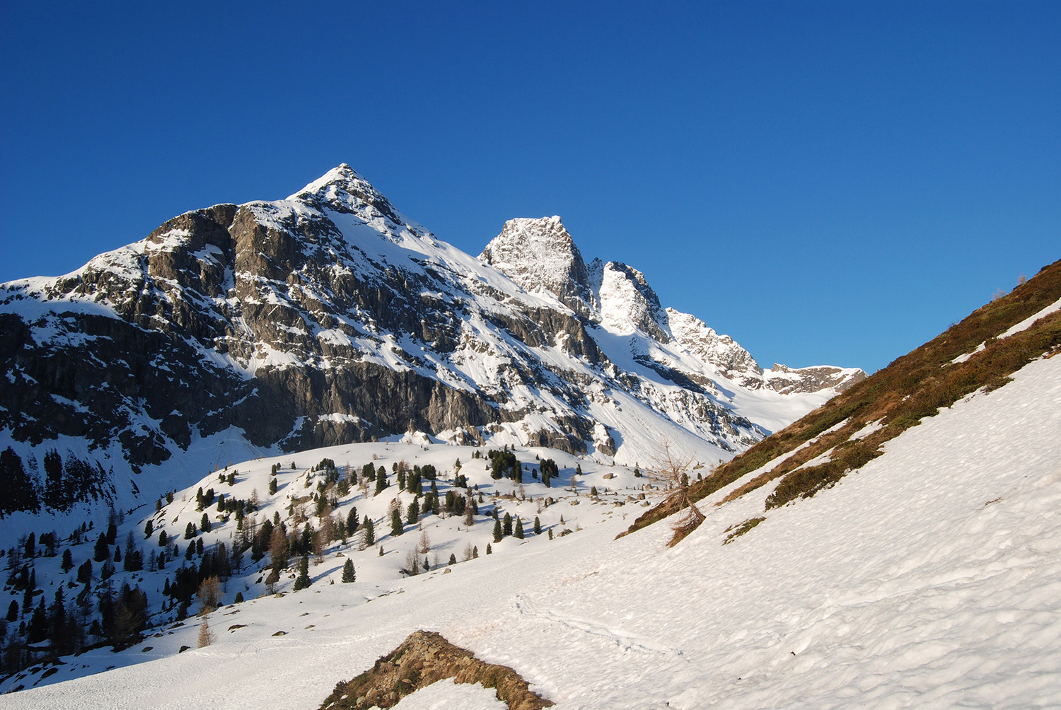 Il Corno di Dosdè 3232 m versante N, presso le baite Altumeira 2150 m.