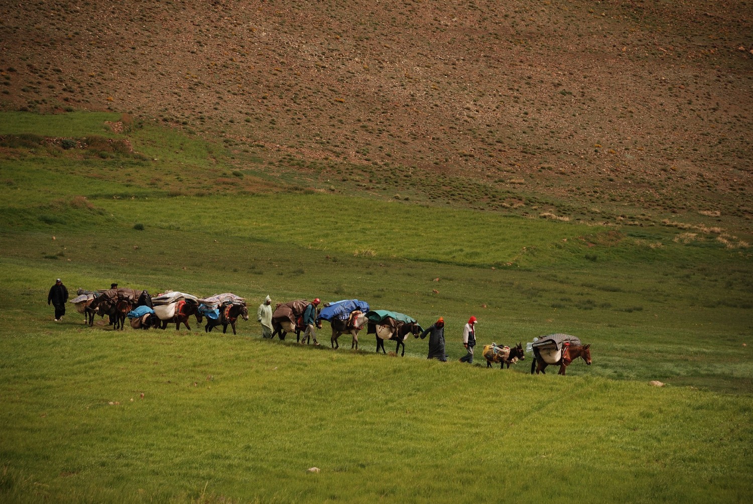 Entre les Bergerie d'Aziwan et Tachakocht, Djebel Sirouah , Anti-Atlas