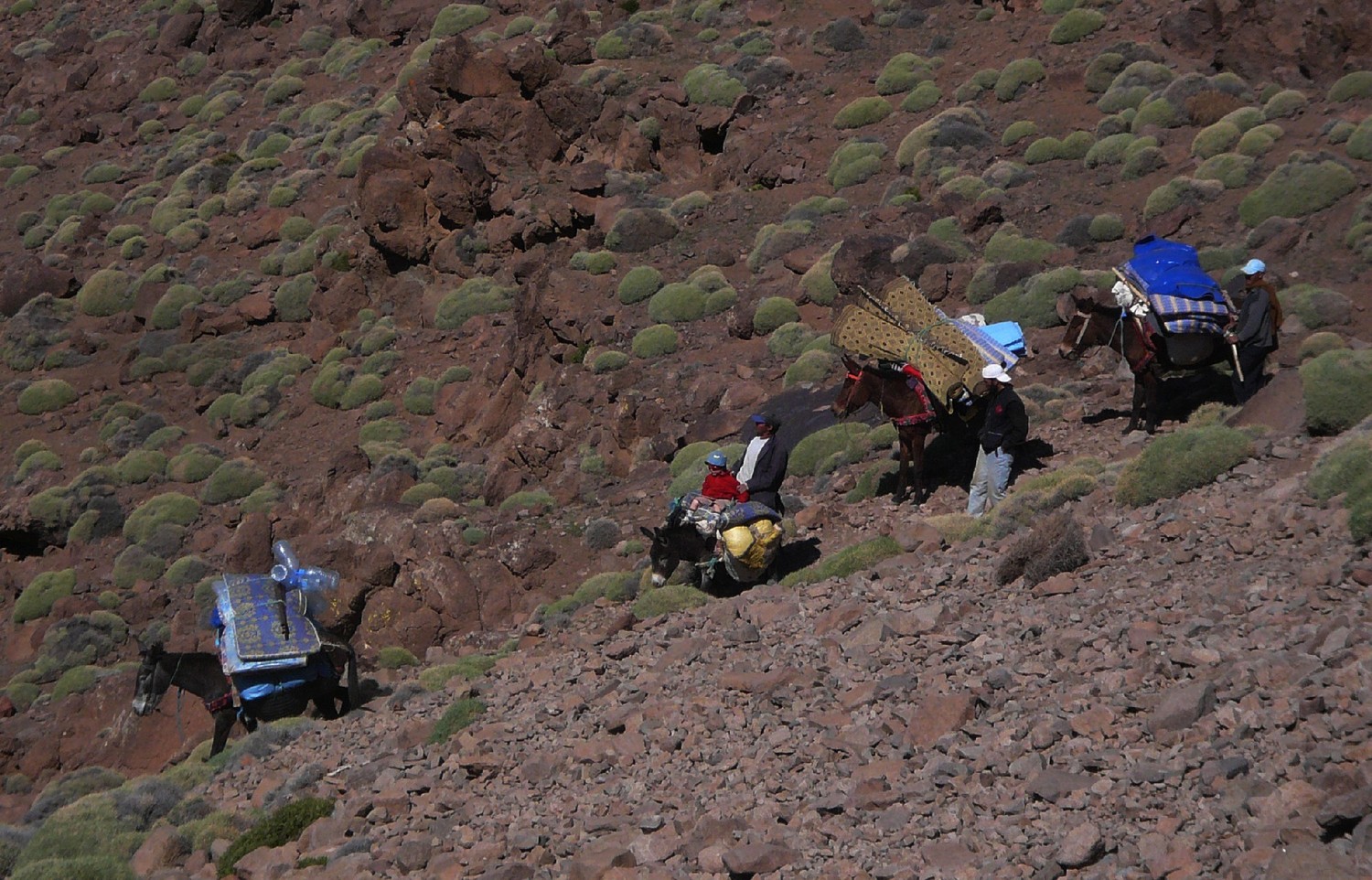 Entre Turtit et Tachakocht, Djebel Sirouah , Anti-Atlas