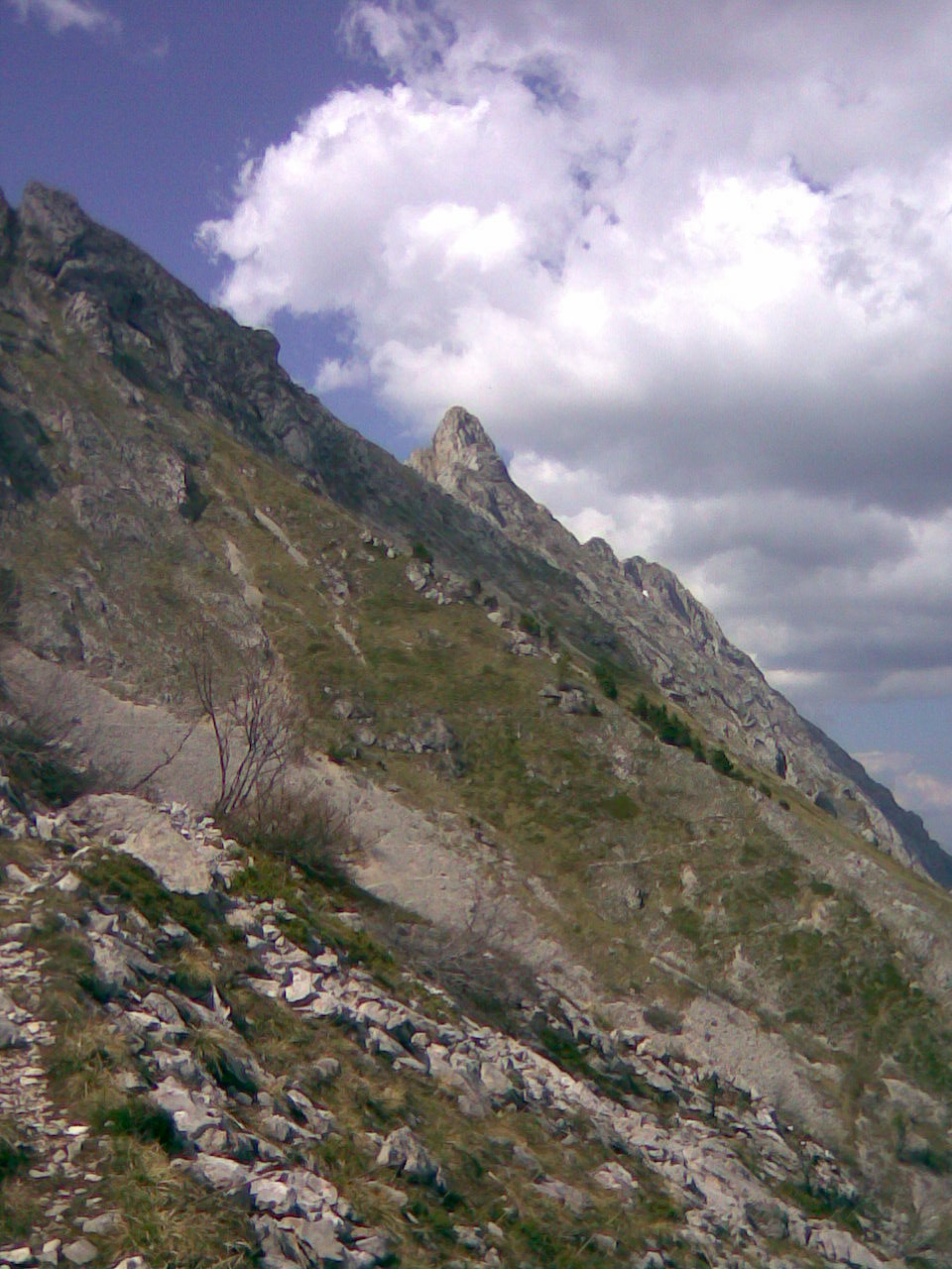 Sous le col vert