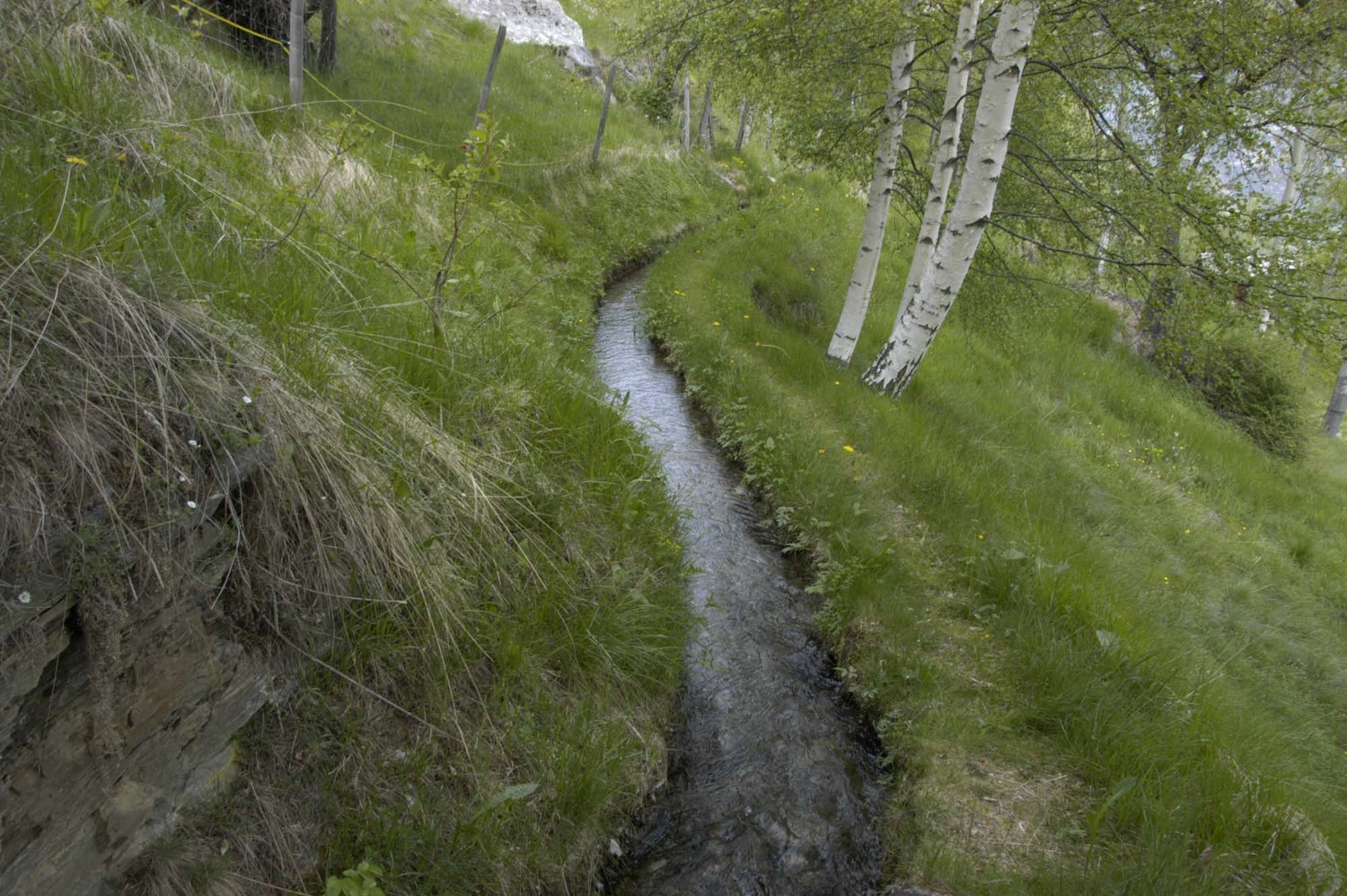 Bisse de Staleri