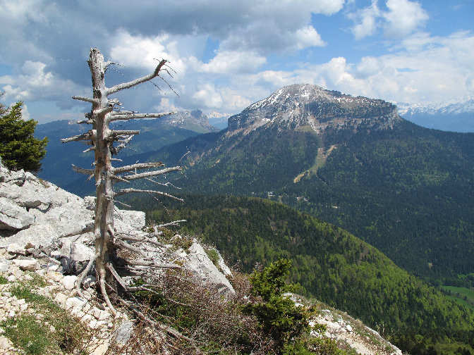 Le versant ouest de Chamechaude