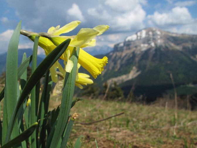 Printemps!