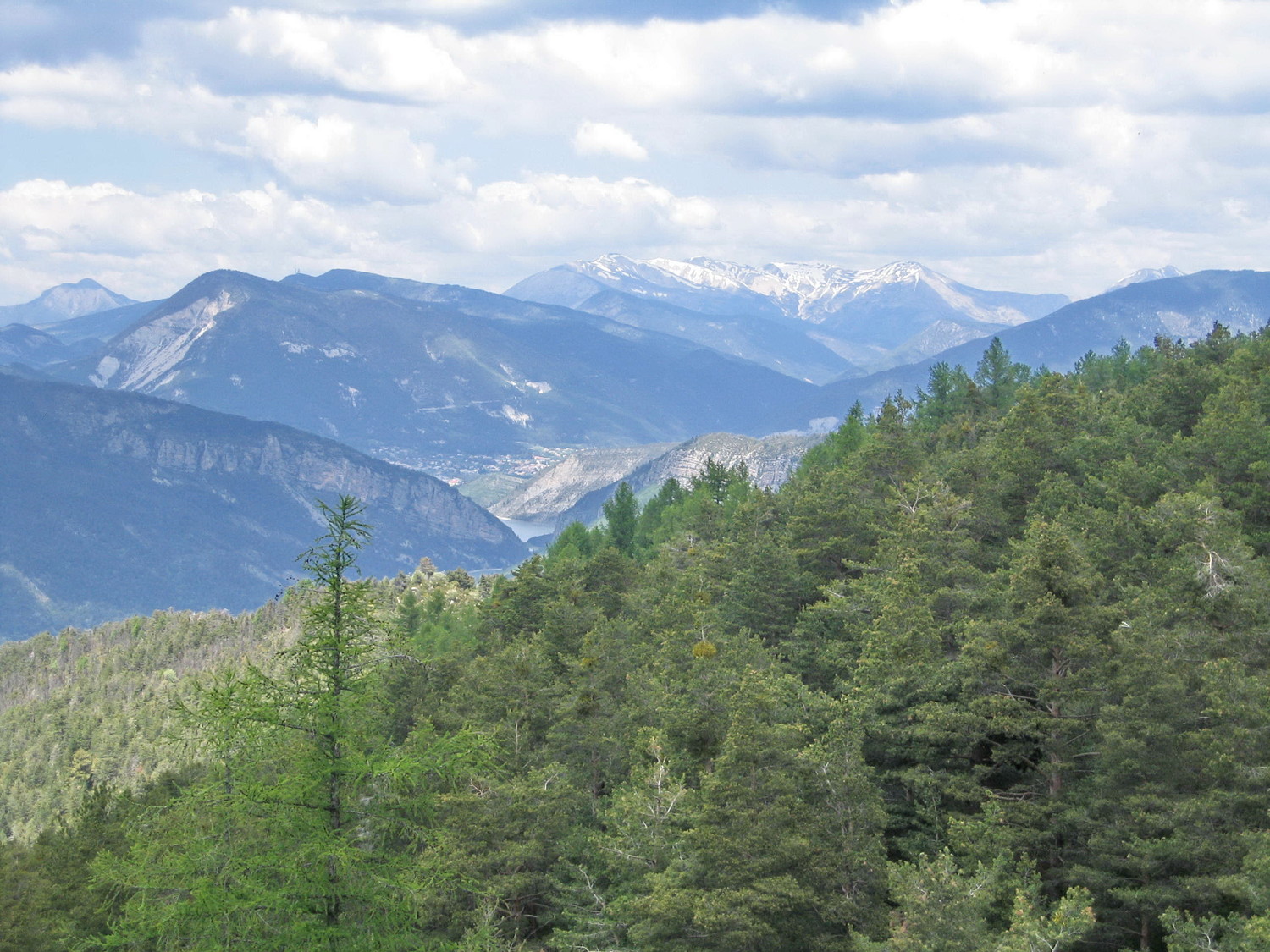 le cheval blanc, du col de demandolx