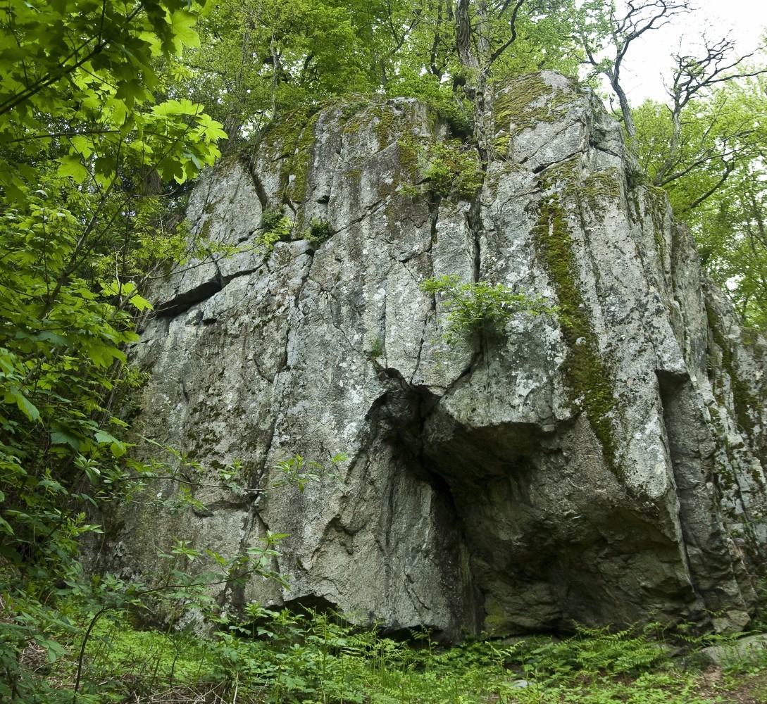 secteur de gauche