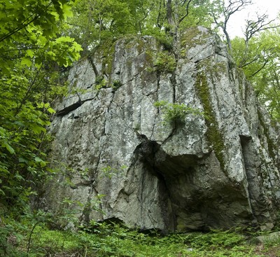 secteur de gauche