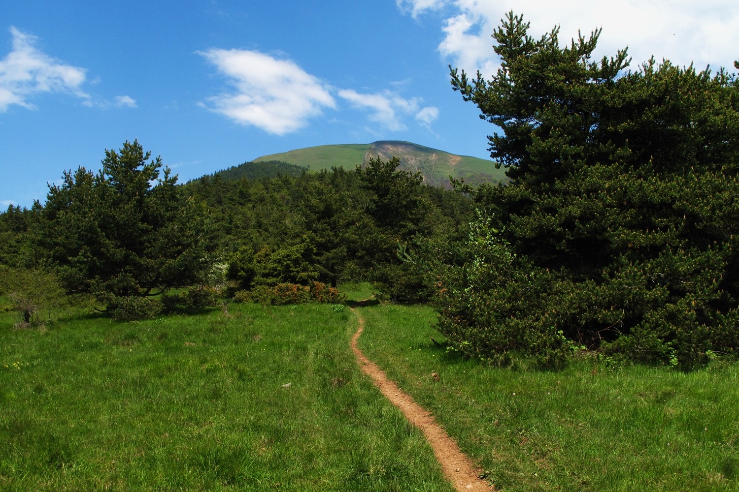 la Peyrouse vue du S